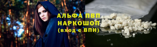 ECSTASY Абаза
