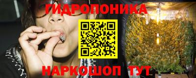 мдпв Пушкино