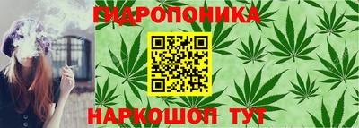мдпв Пушкино