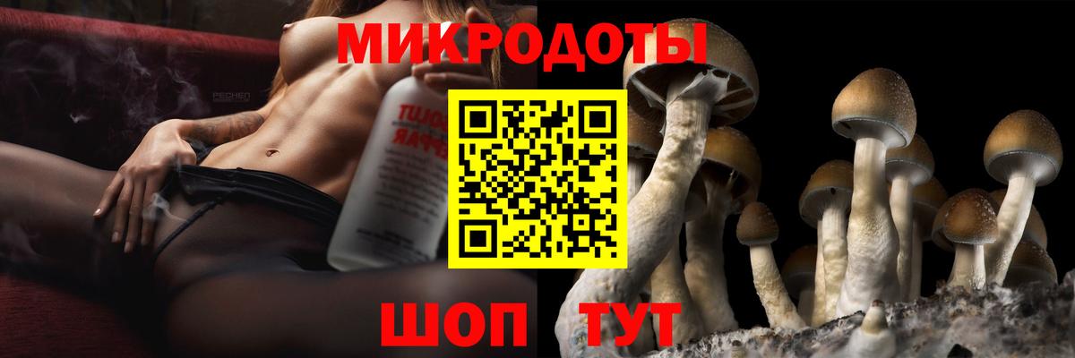 Псилоцибиновые грибы Psilocybe  Галлюциногенные грибы ЛСД  Вход с VPN  Юрга 